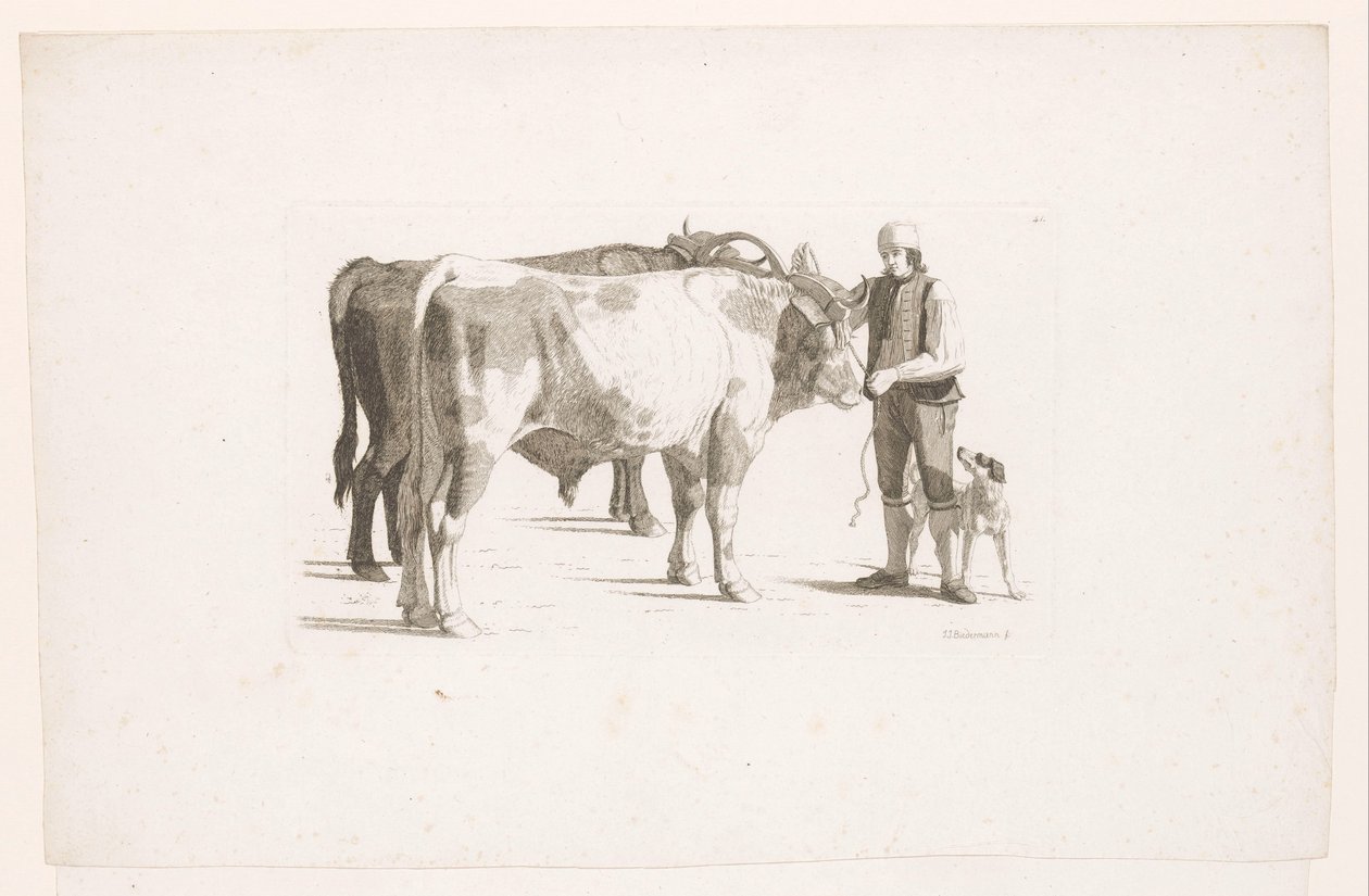 Homme et un chien à côté de deux bœufs avec un joug - Johan Jakob Biedermann