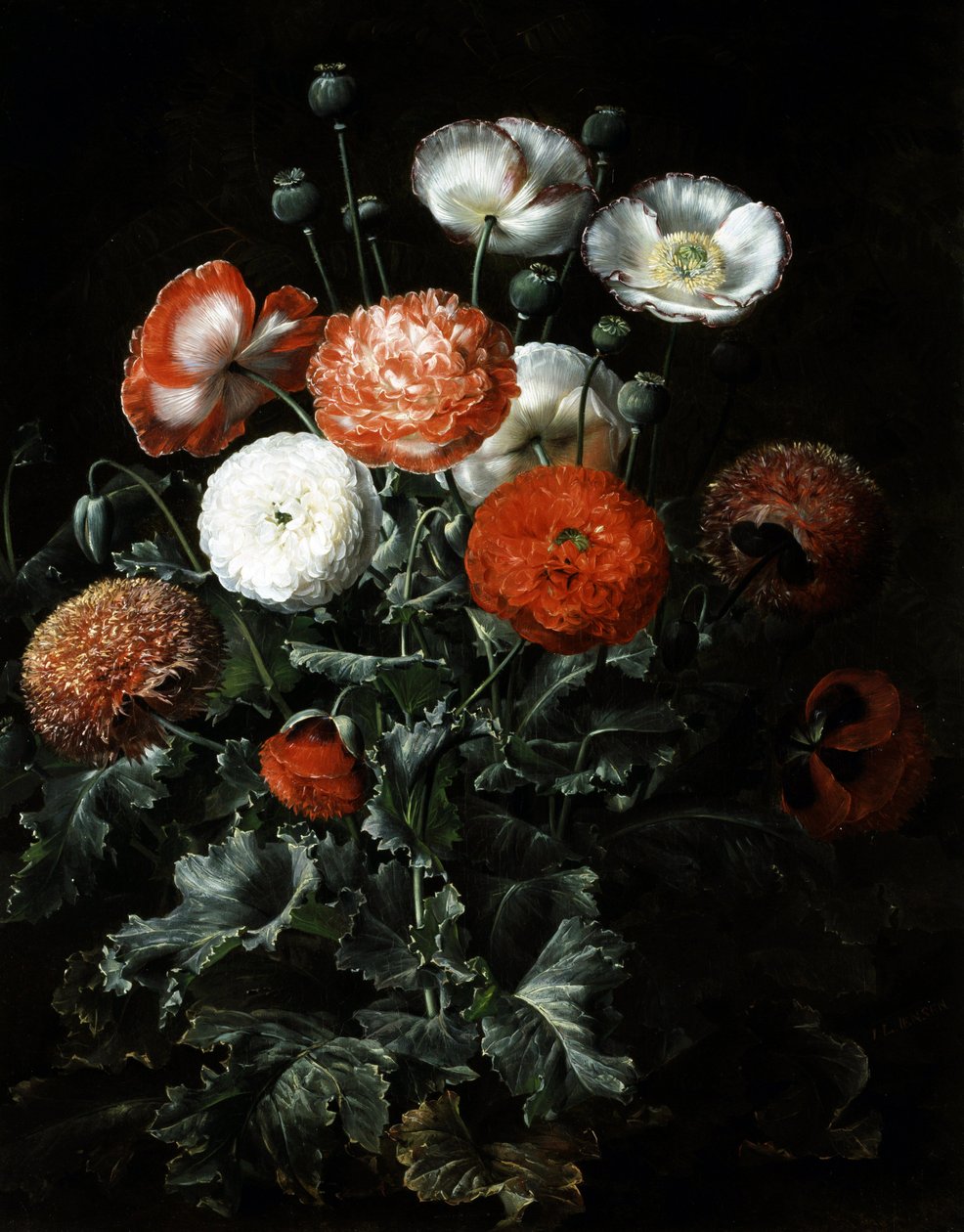Pavots exotiques. Peinture de Johan Laurentz Jensen (1800-1856) Collection privee. - Johan Laurents Jensen