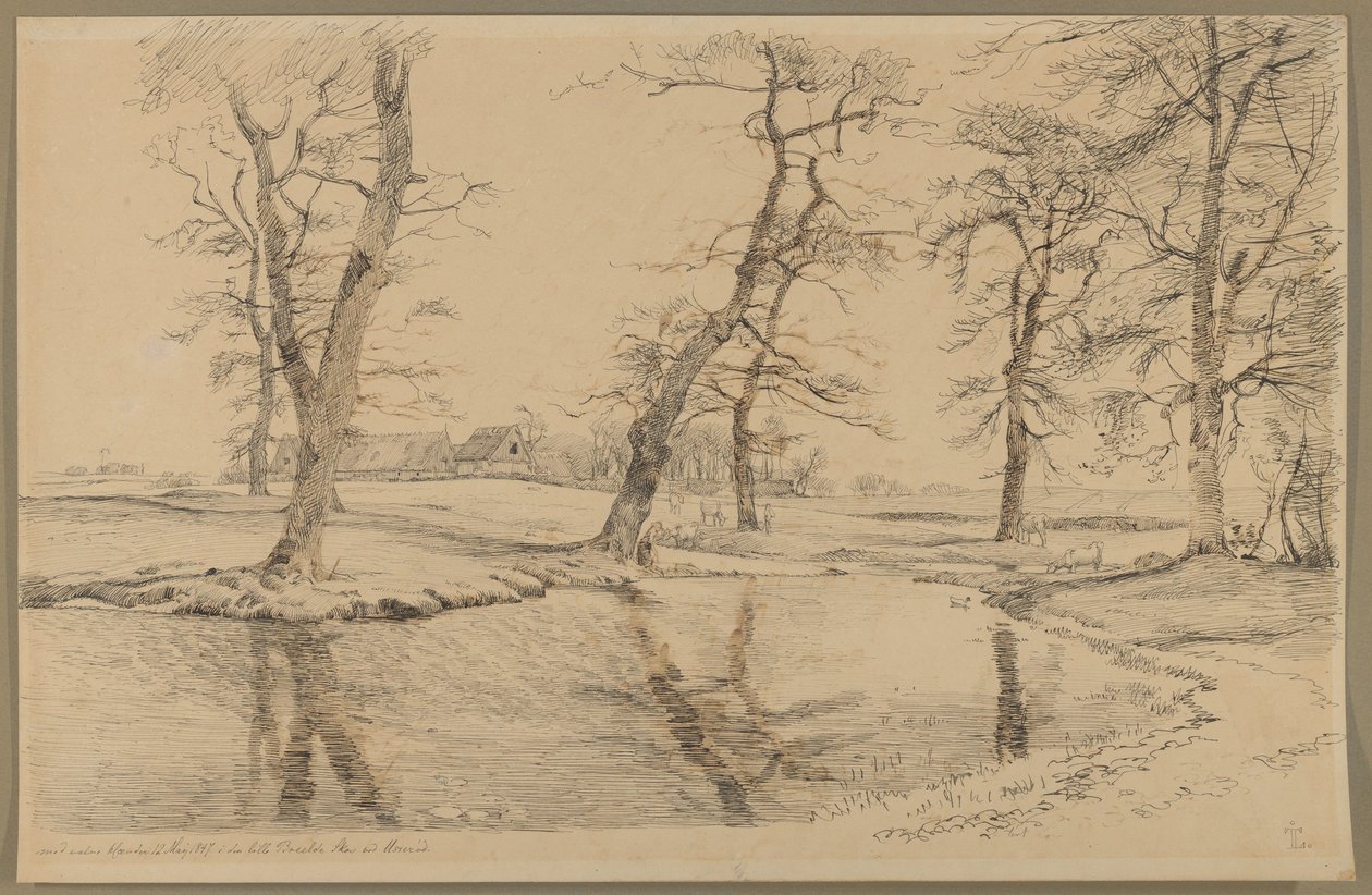 Un ruisseau près d
