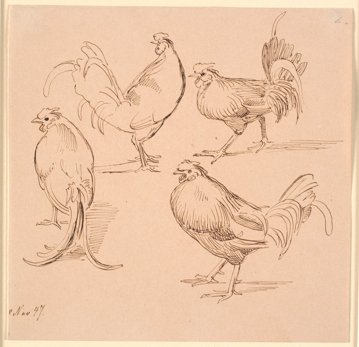 Quatre études de coqs - Johan Thomas Lundbye