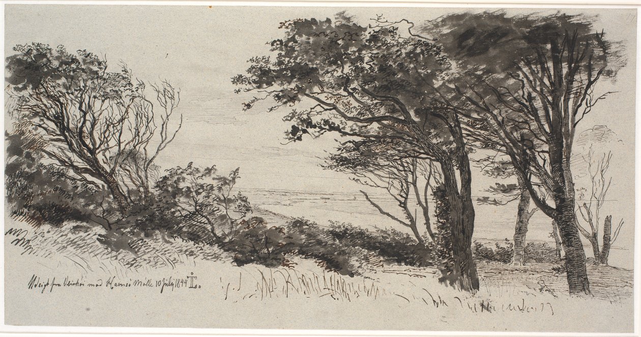 Arbres battus par le vent. Vejrhøj - Johan Thomas Lundbye