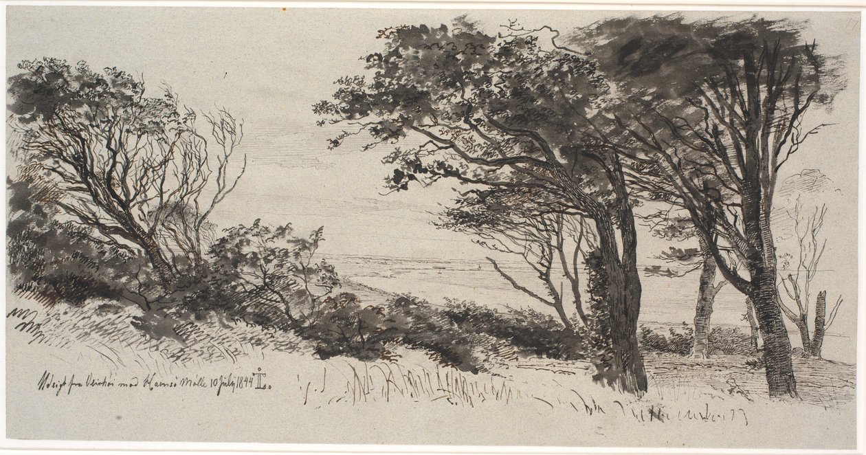 Arbres battus par le vent. Vejrhøj - Johan Thomas Lundbye