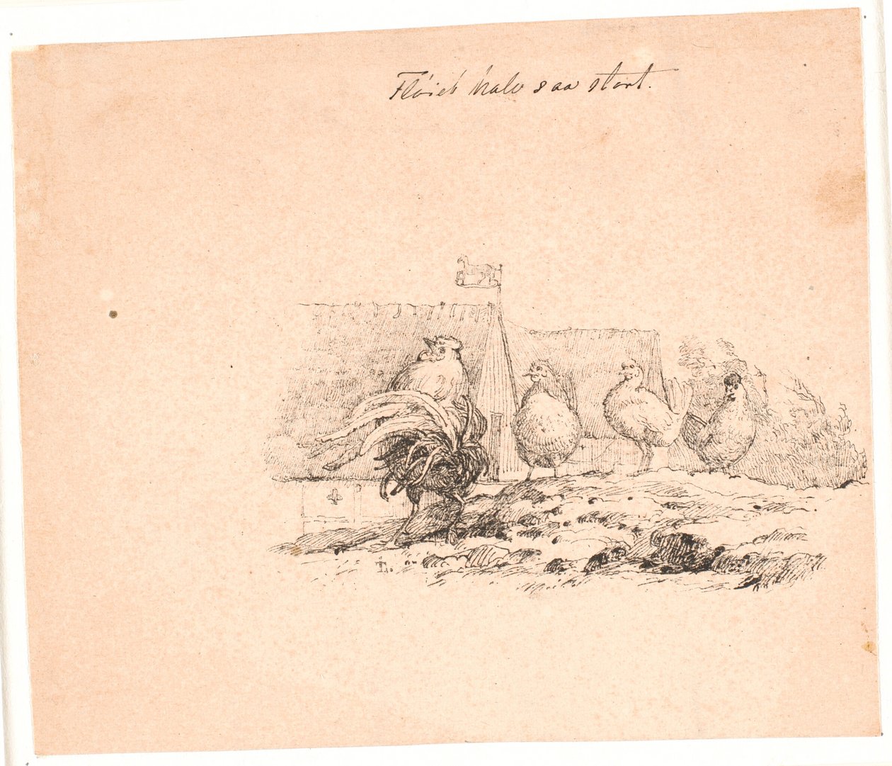 Le coq. Illustration pour "Fabler for Børn" de Kaalund - Johan Thomas Lundbye