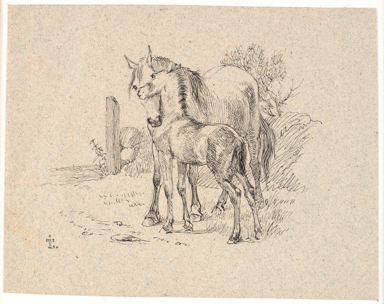 Le cheval et le poulain - Johan Thomas Lundbye