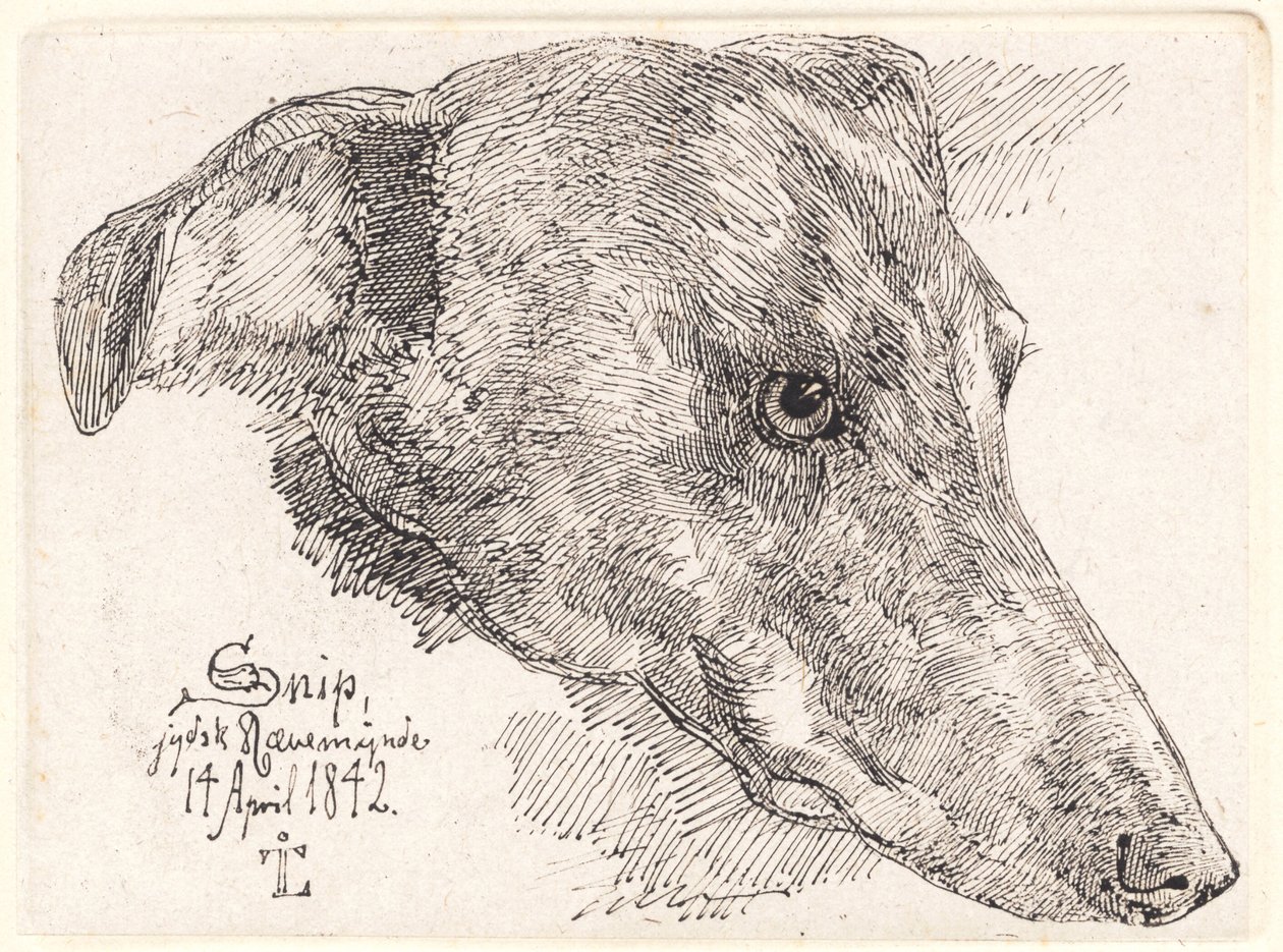 Tête de chien, Snip - Johan Thomas Lundbye
