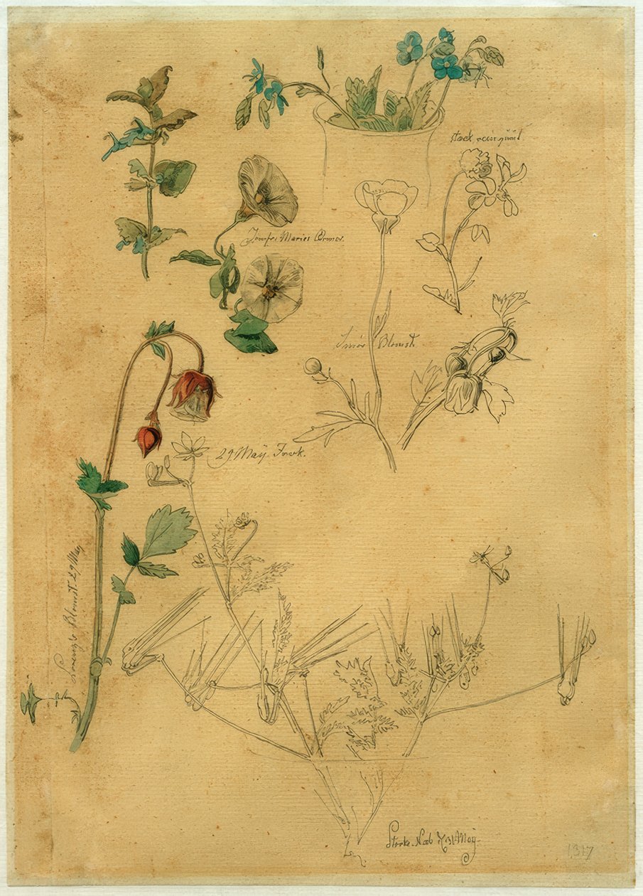 J. Th. Lundbye, étude de plantes - Johan Thomas Lundbye