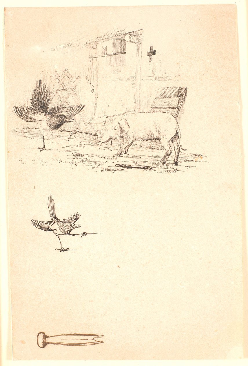 La cigogne et le cochon. En dessous, étude de la pie et d