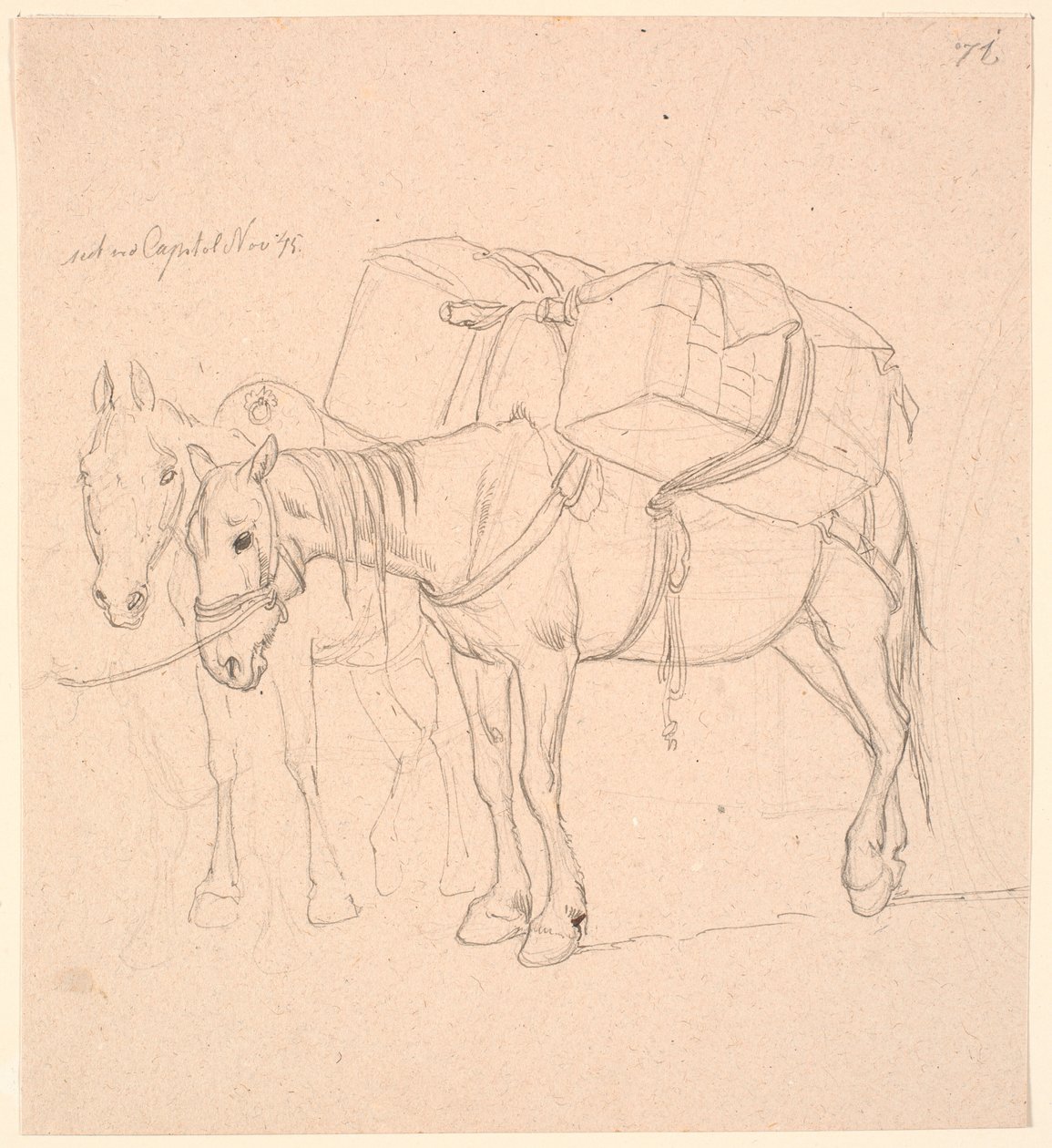 Deux chevaux avec des bagages - Johan Thomas Lundbye