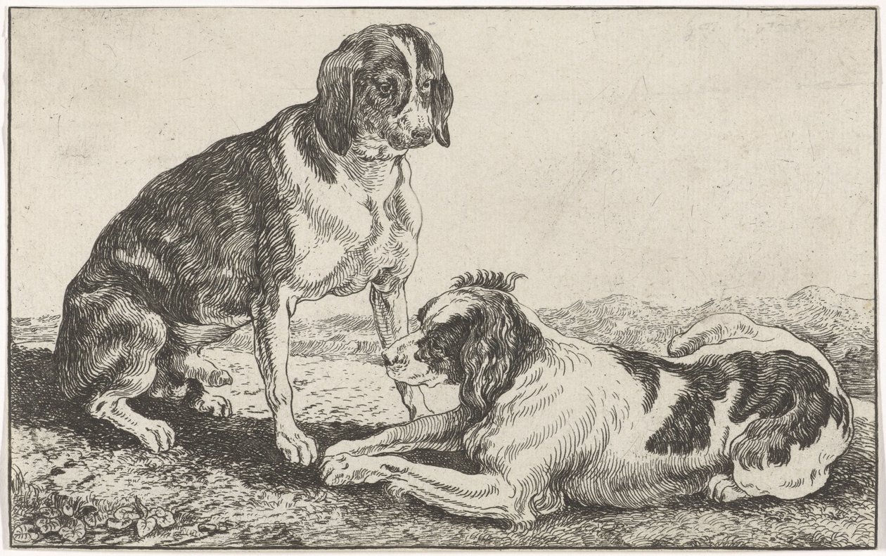 Deux chiens - Johan le Ducq
