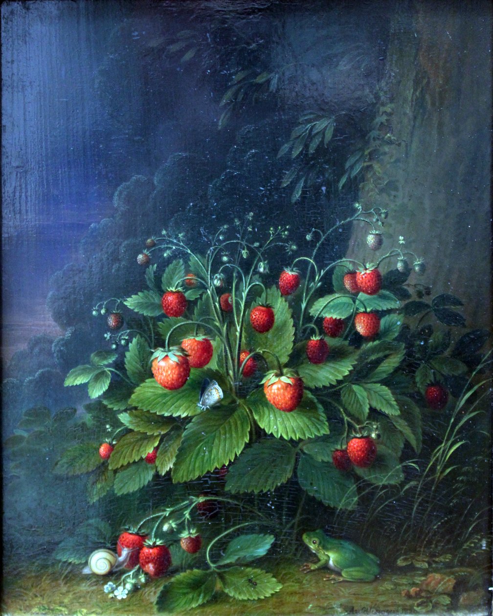 Fraises - Johann Adam Schlesinger