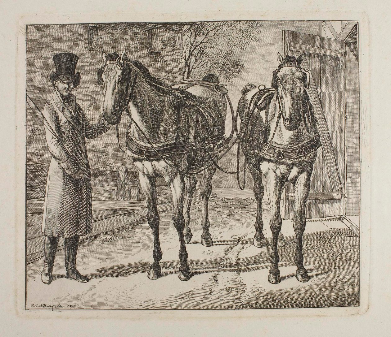 Chevaux d