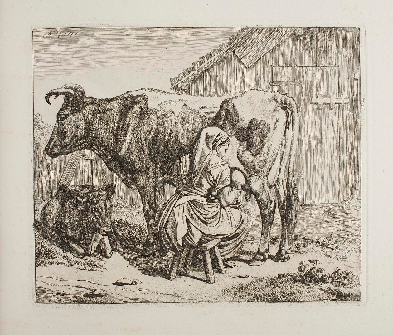 Une vache et son veau en train d