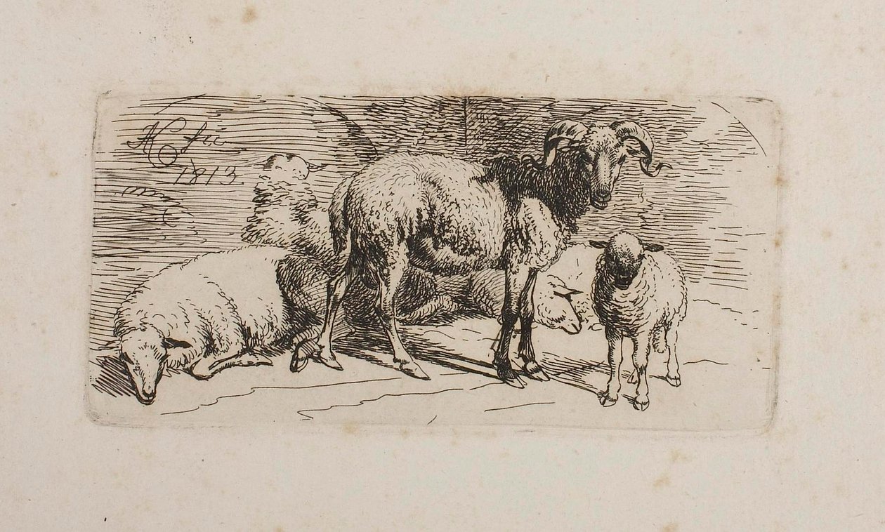 Un bélier, trois brebis et un agneau - Johann Adam Klein