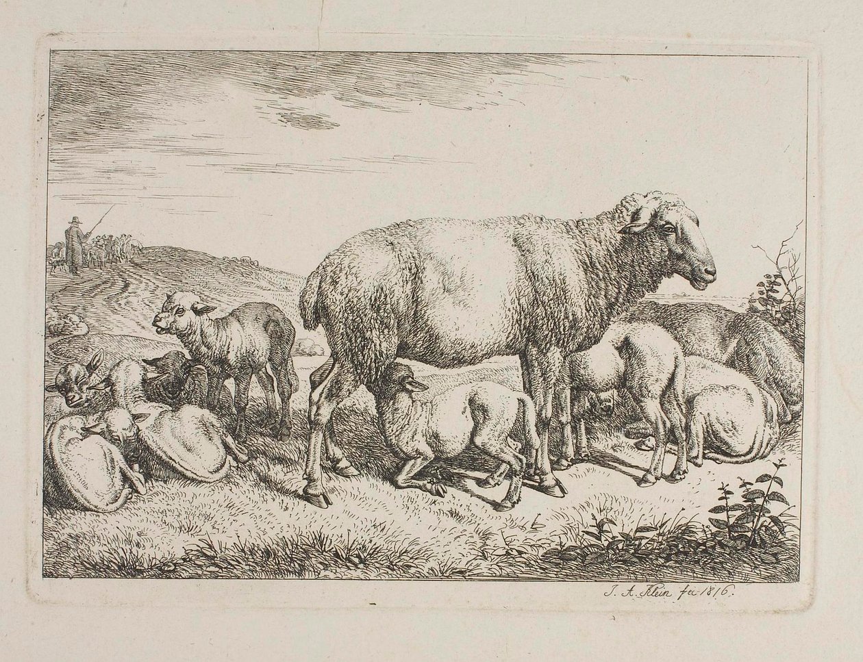 Moutons avec leurs agneaux - Johann Adam Klein