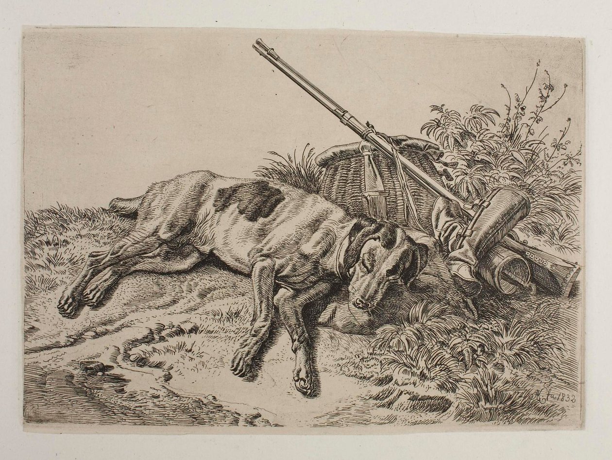 Chien endormi - Johann Adam Klein