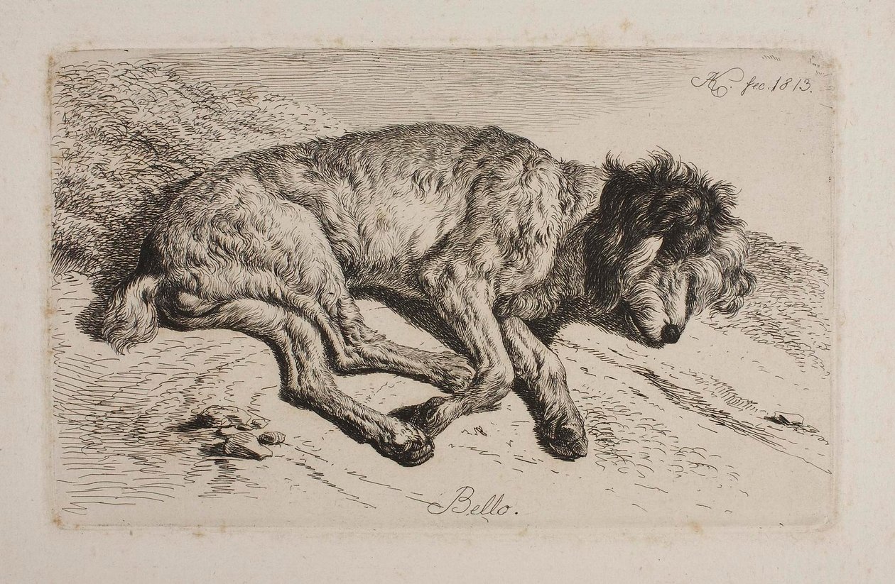 Chien endormi, Bello - Johann Adam Klein