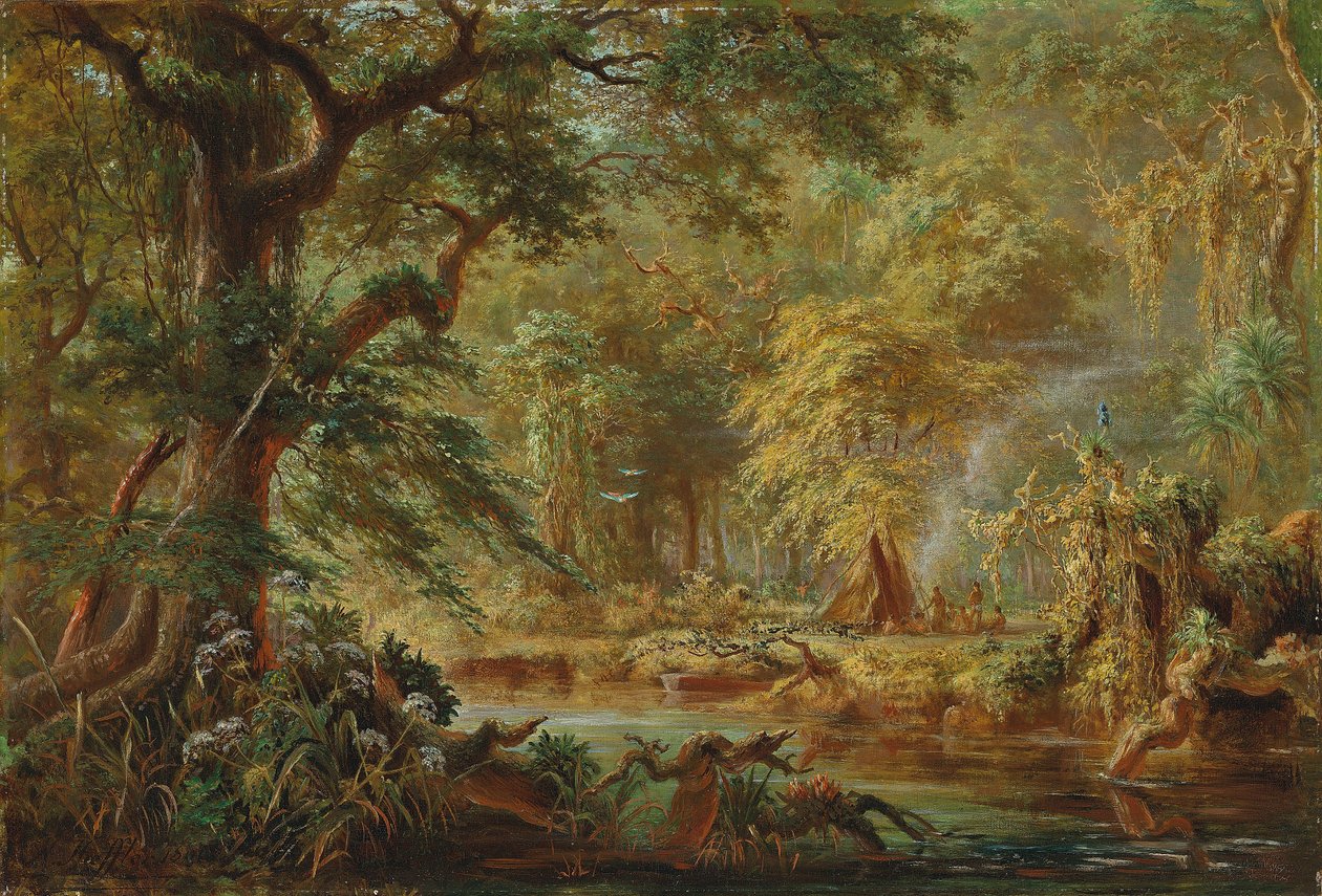 Camp indien brésilien près d