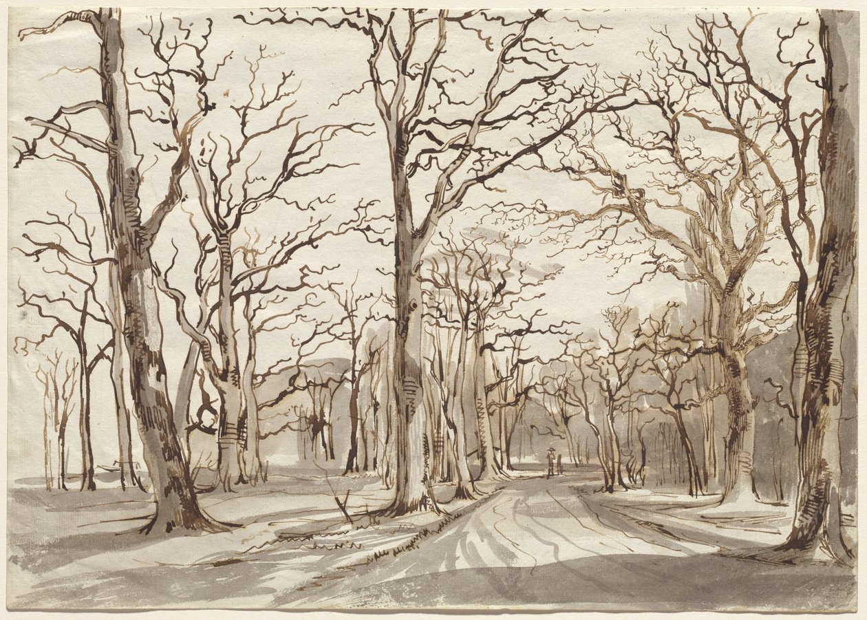 Un chemin forestier à Rosenthal en hiver - Johann Christian Reinhart
