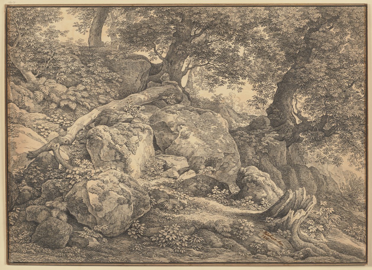 Versant avec des blocs rocheux et des oliviers dans le parc des princes Chigi à Ariccia - Johann Christian Reinhart