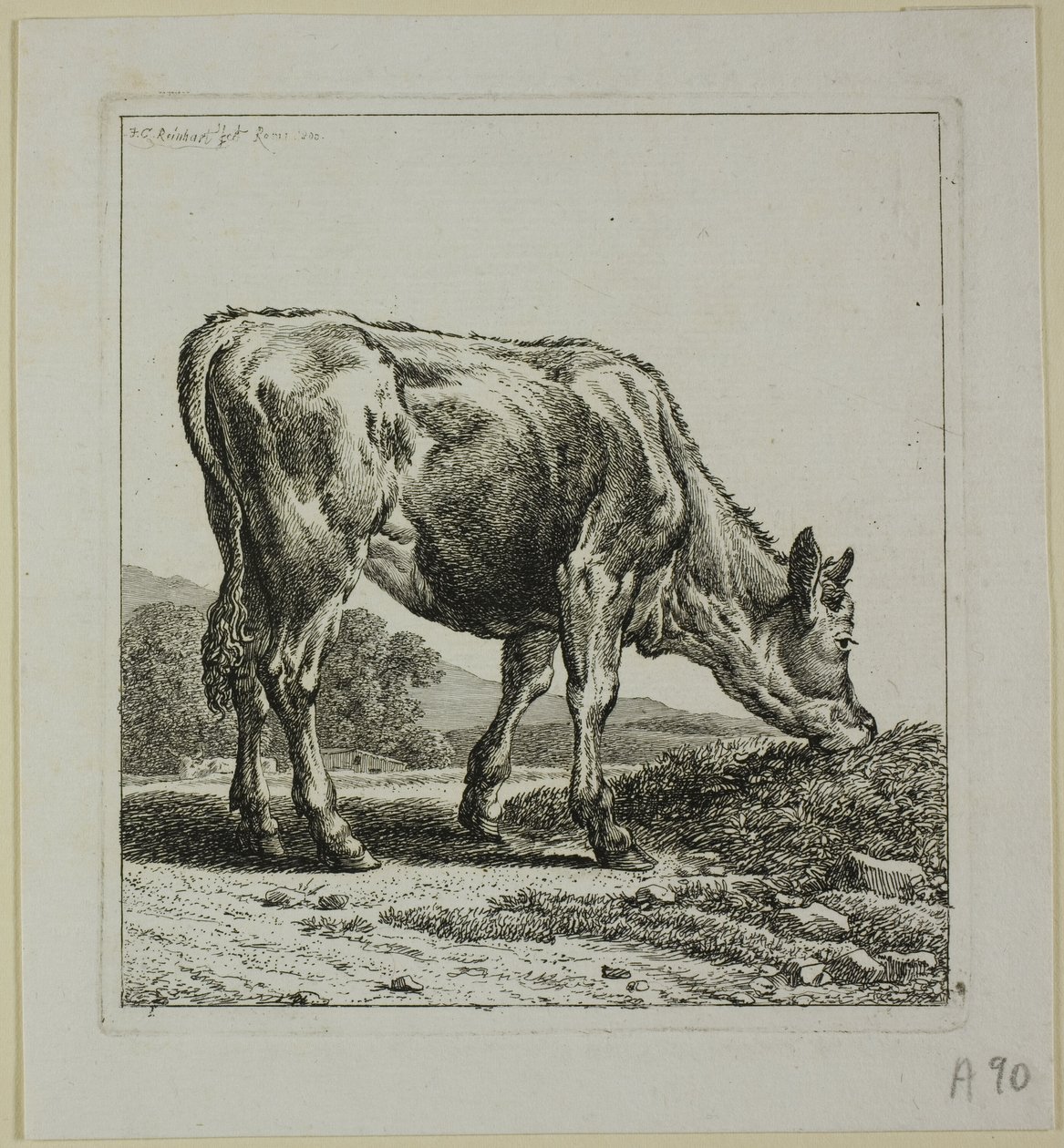 Veau se nourrissant, de Die Zweite Thierfolge - Johann Christian Reinhart
