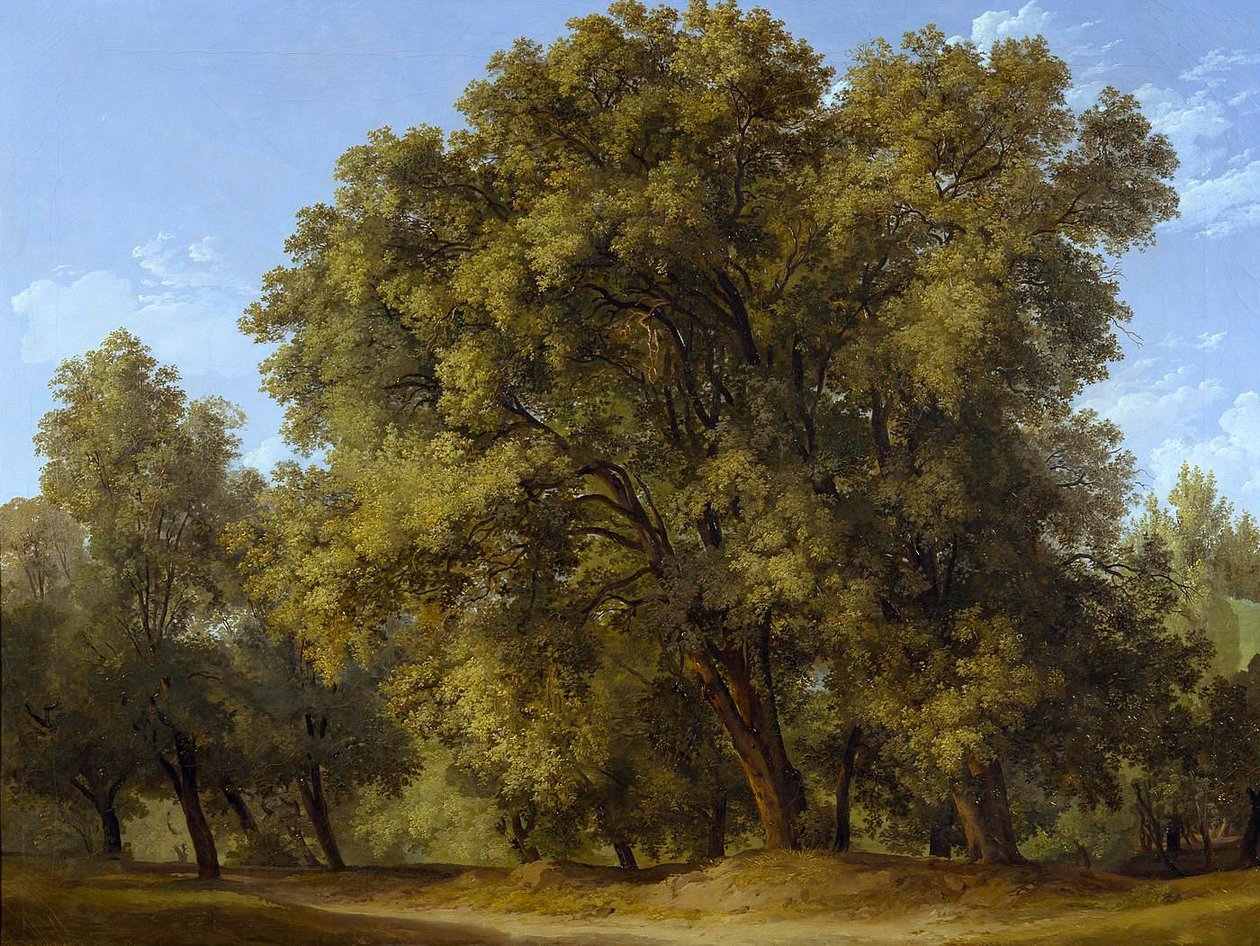 Scène forestière - Johann Christian Reinhart
