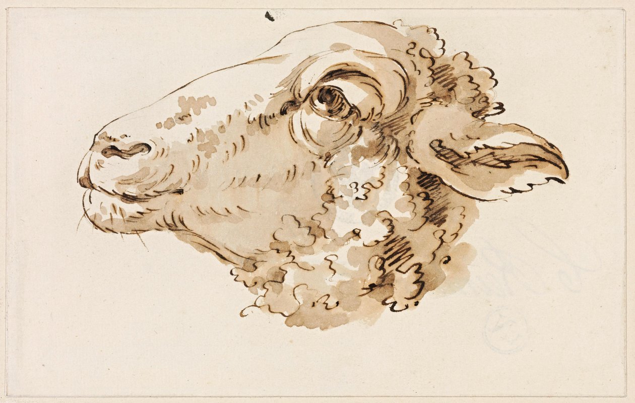 Tête de mouton tournée vers la gauche - Johann Christian Reinhart