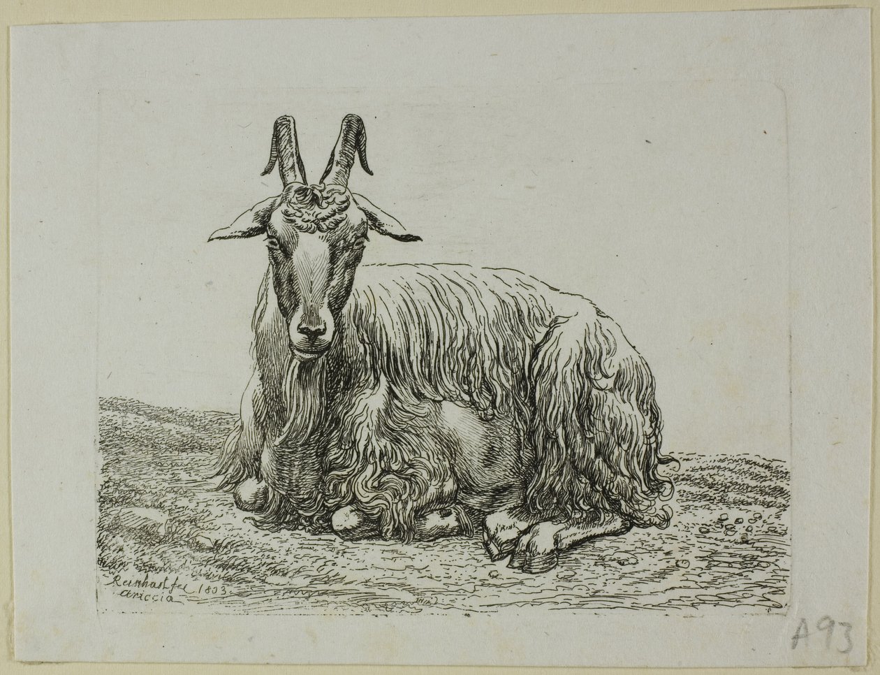 Chèvre couchée, de Die Zweite Thierfolge - Johann Christian Reinhart
