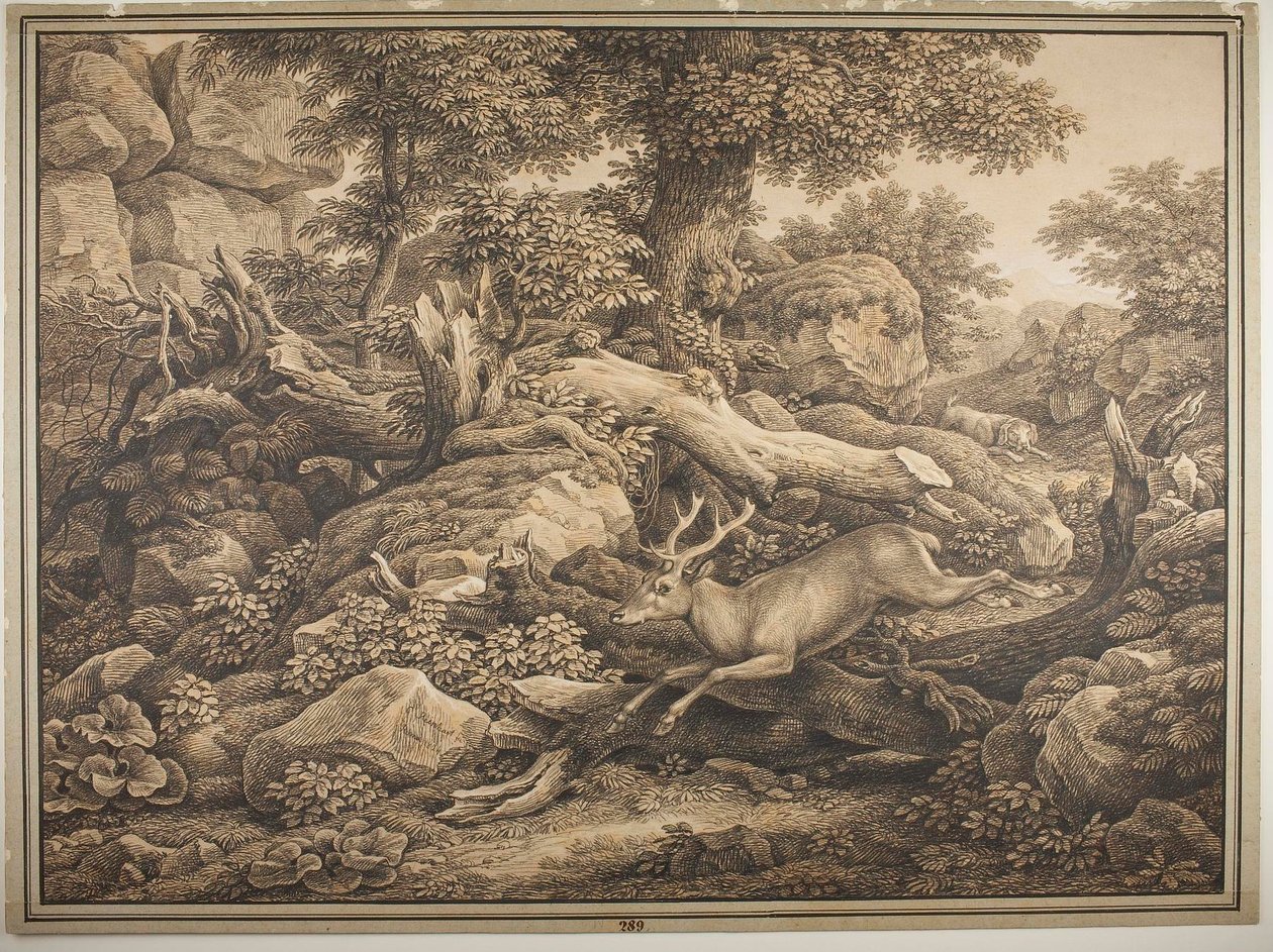 Scène du parc des Chigi à Ariccia - Johann Christian Reinhart