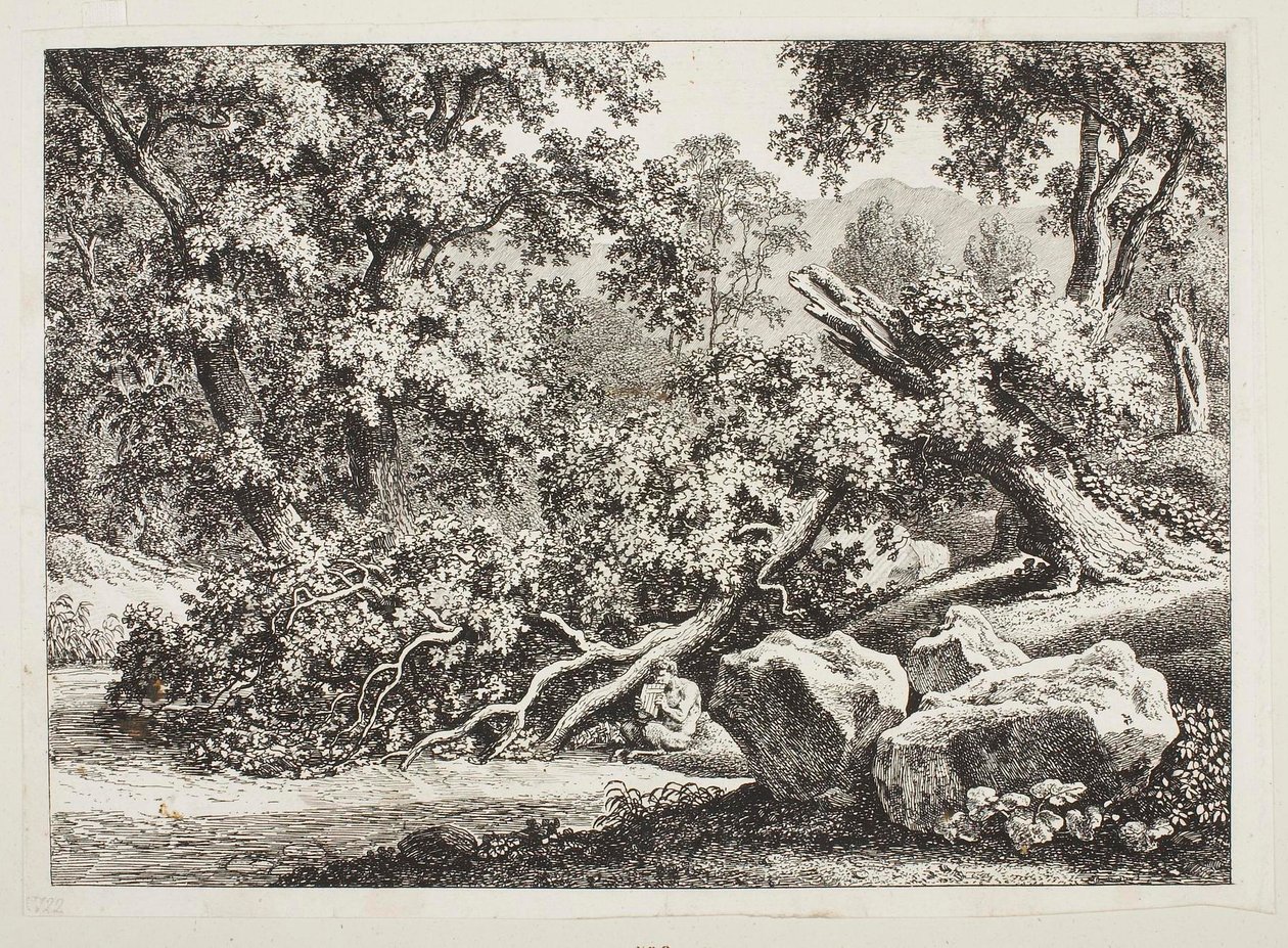 Scène forestière avec un chêne brisé - Johann Christian Reinhart