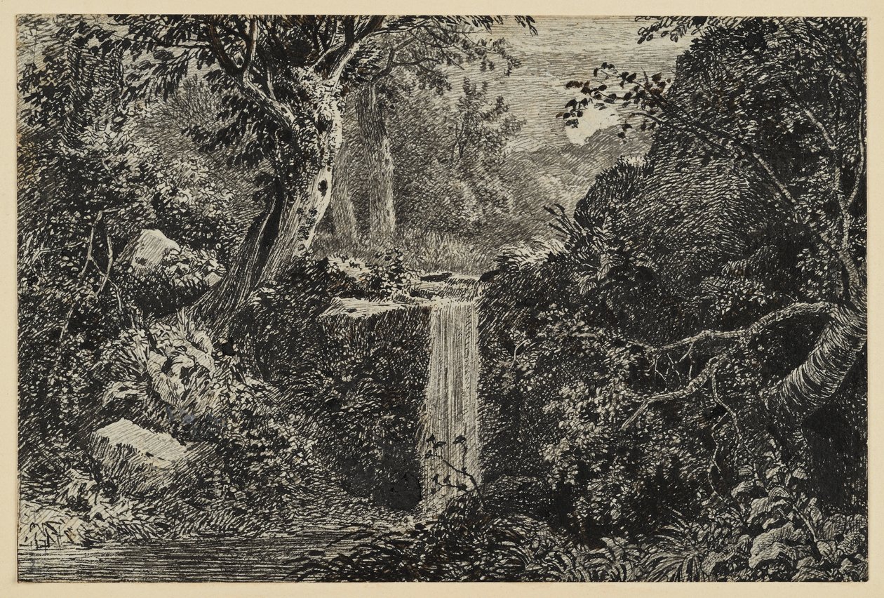Cascade dans la forêt - Johann Christoph Erhard