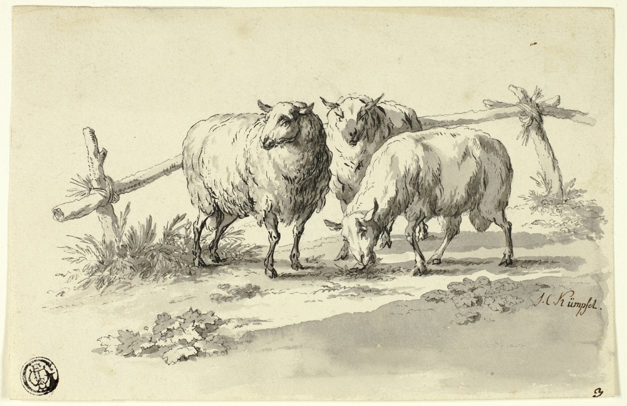 Moutons - Johann Christoph Kimpfel