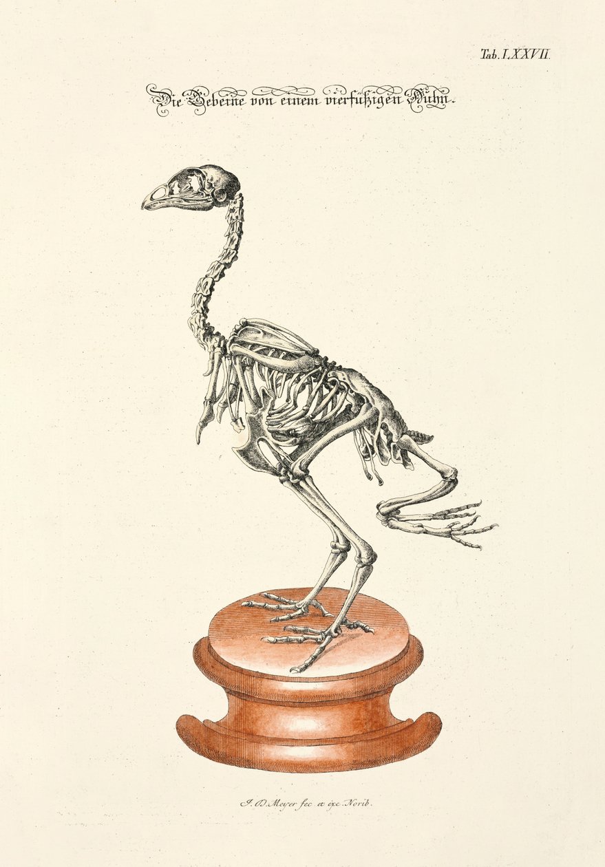  - Johann Daniel Meyer