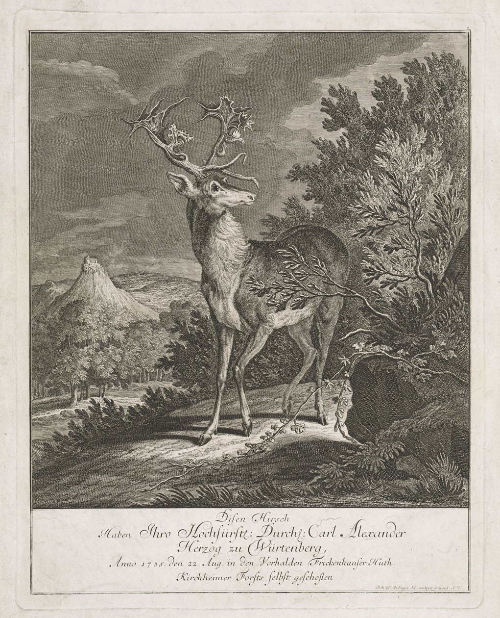 Un magnifique cerf dans un paysage - Johann Elias Ridinger