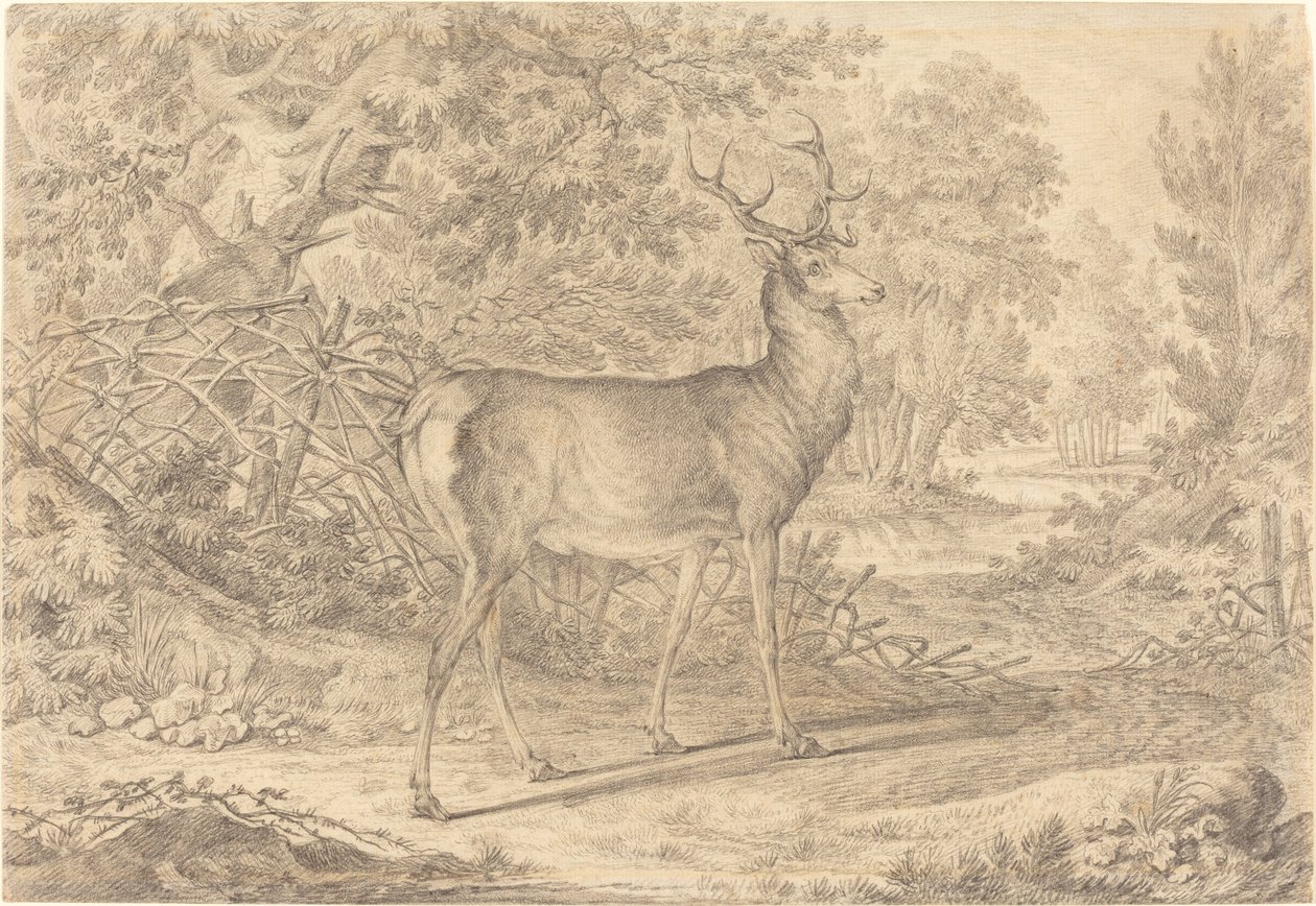 Un jeune cerf splendide devant une clôture en osier - Johann Elias Ridinger