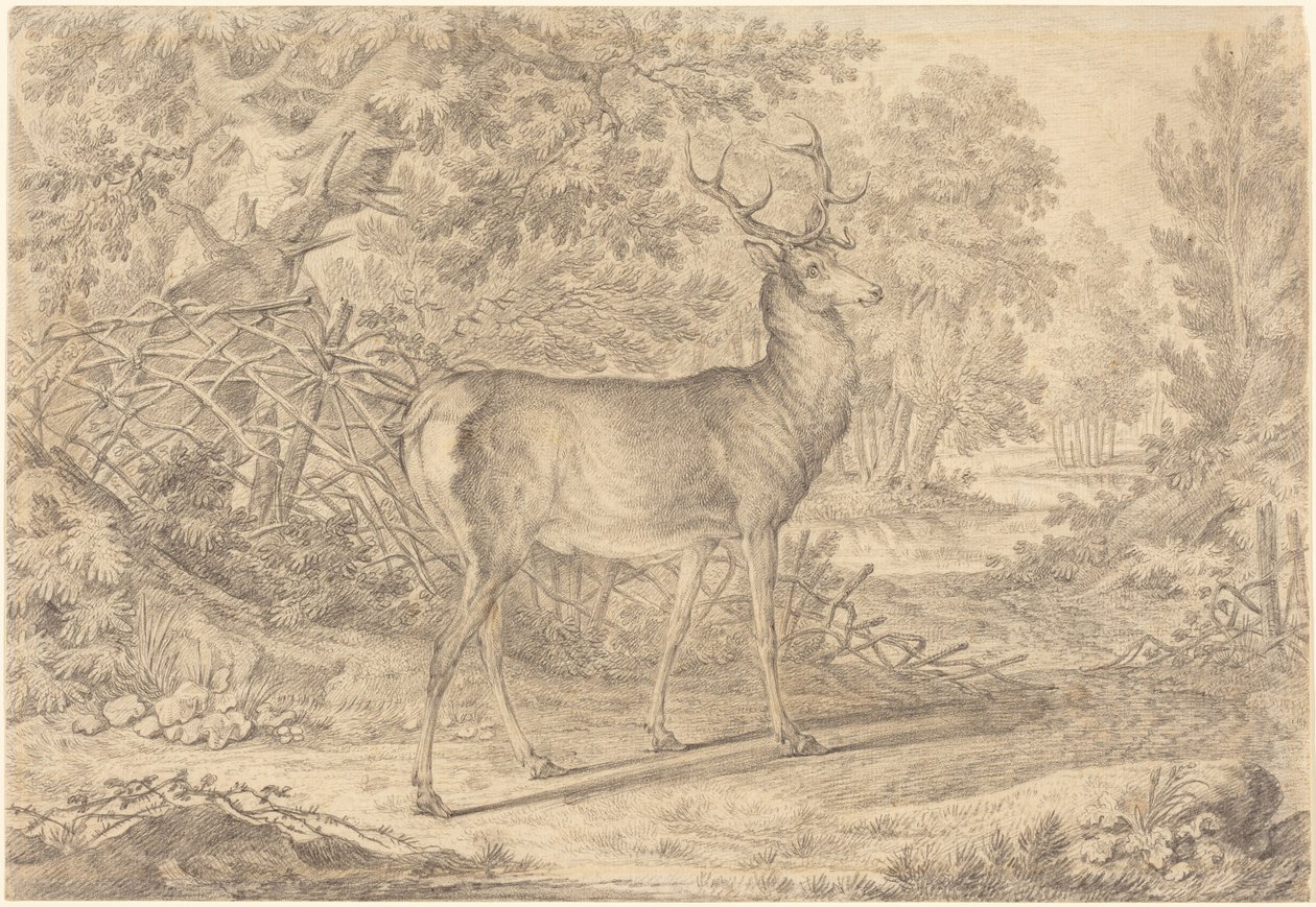 Un magnifique jeune cerf devant une clôture en claies - Johann Elias Ridinger