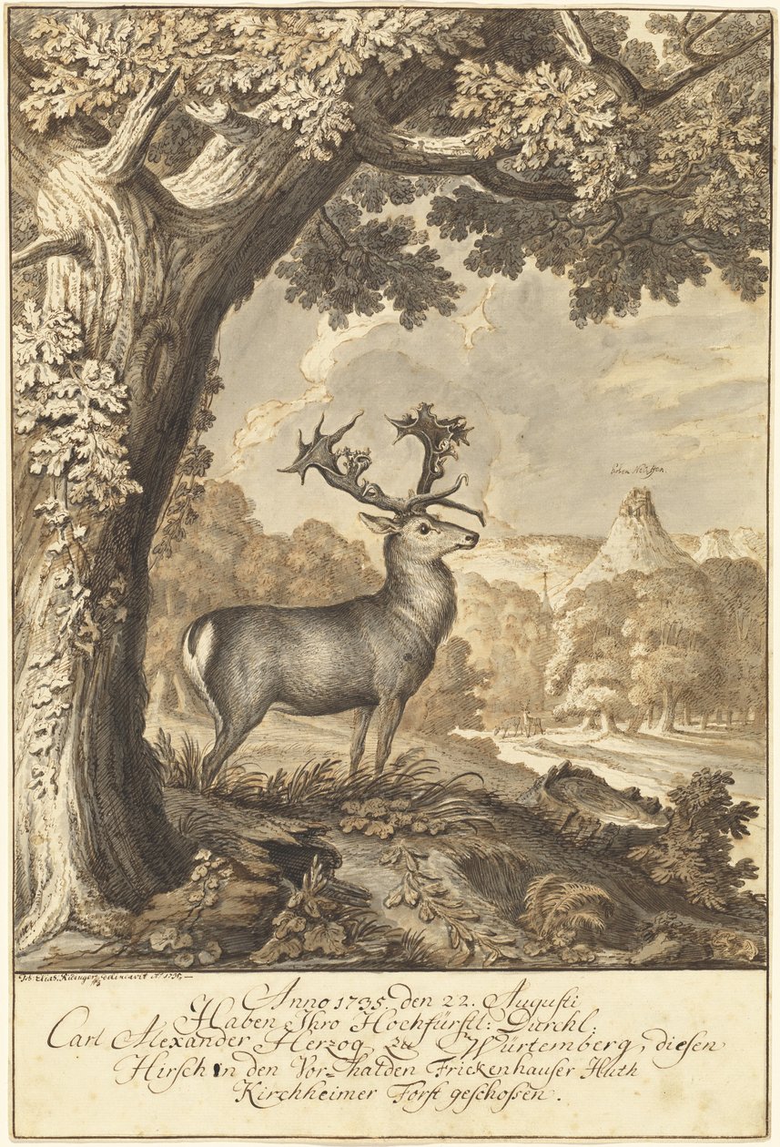 Un cerf sous un chêne majestueux - Johann Elias Ridinger