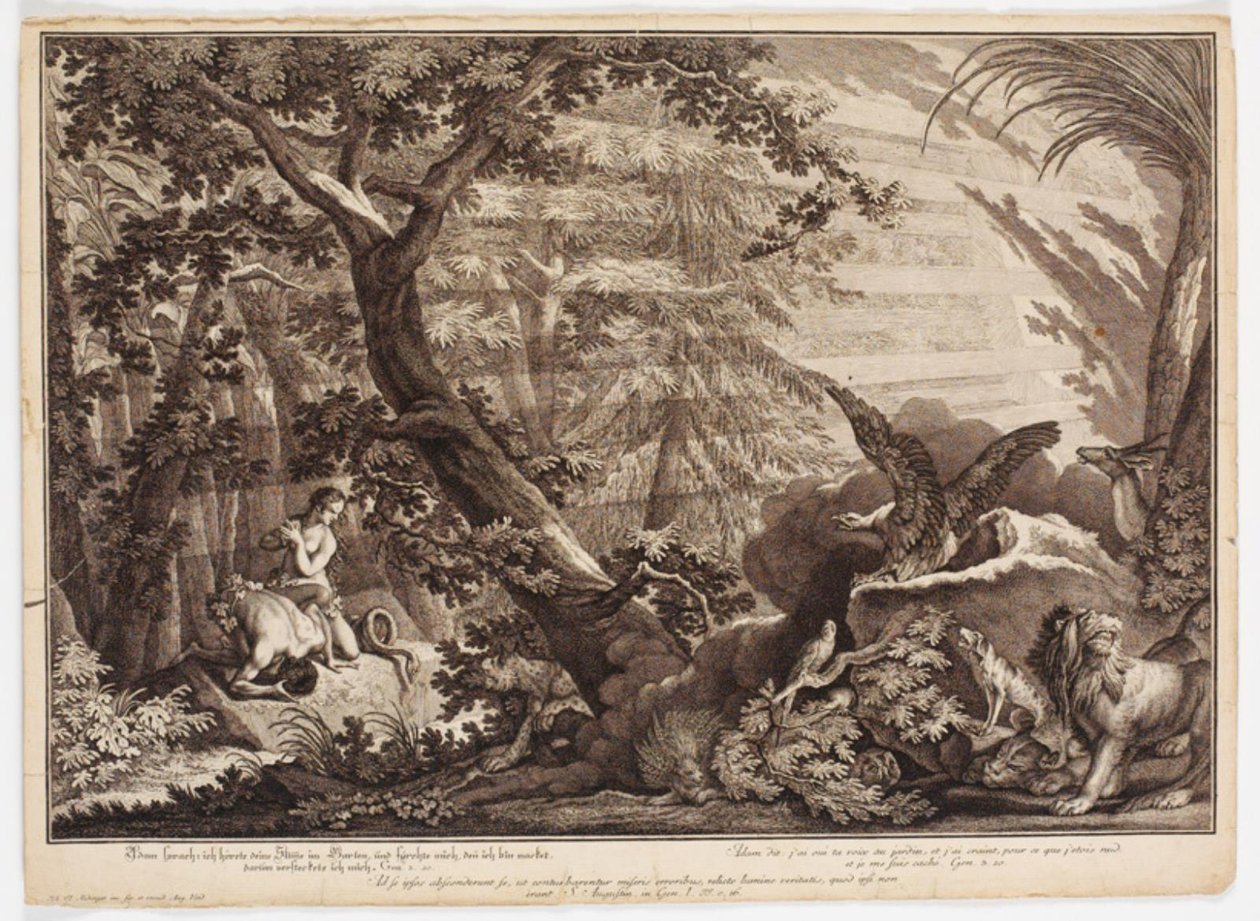 Adam et Ève découvrent qu