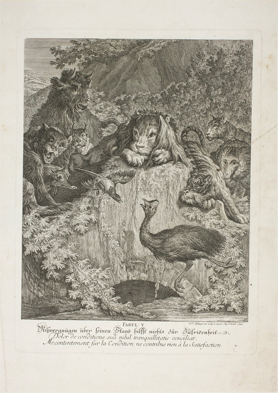 Fable V, planche cinq de Lehrreiche Fabeln aus dem Reiche der Theire - Johann Elias Ridinger