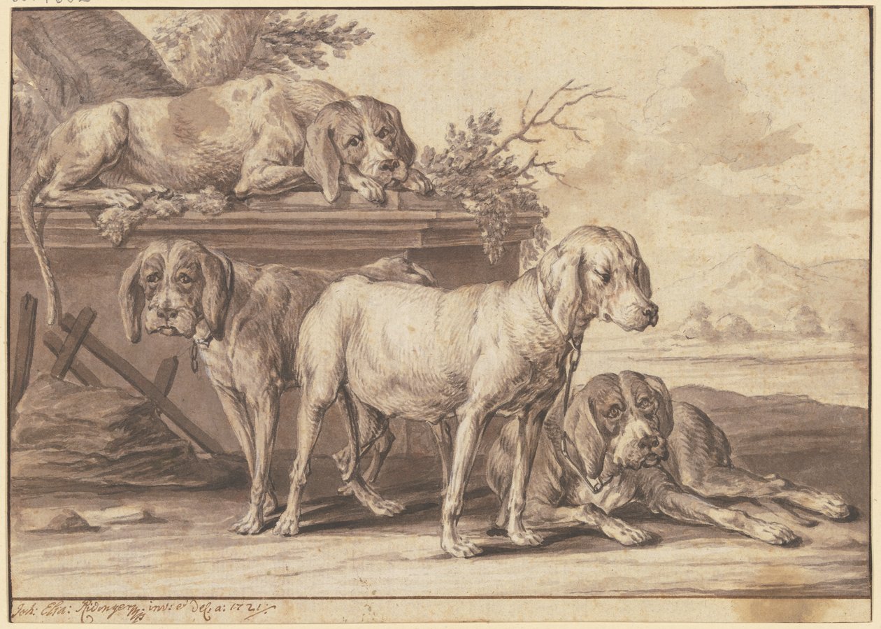 Quatre chiens de chasse - Johann Elias Ridinger