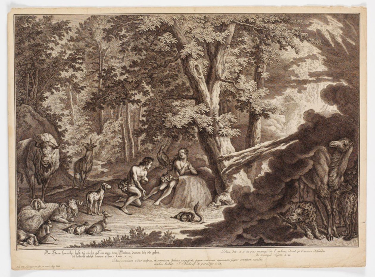 Dieu découvre qu