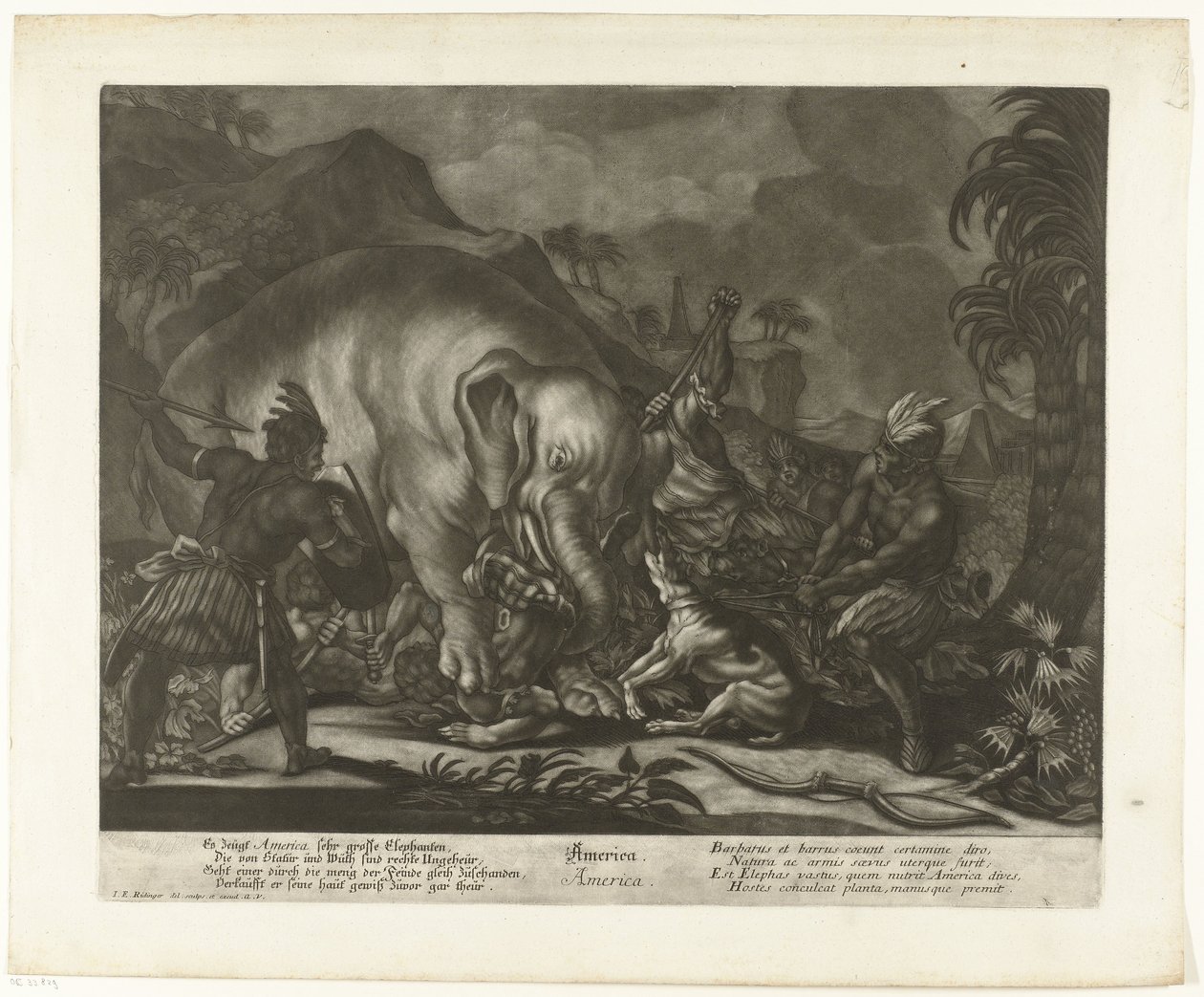 Chasse aux éléphants - Johann Elias Ridinger