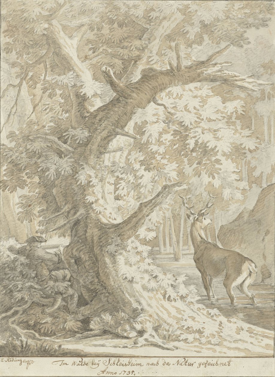 Chasseur visant un cerf dans l