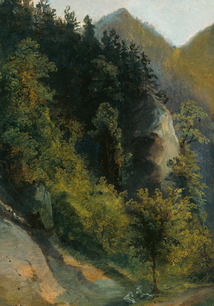 Vallée rocheuse boisée avec des chèvres - Johann Georg von Dillis