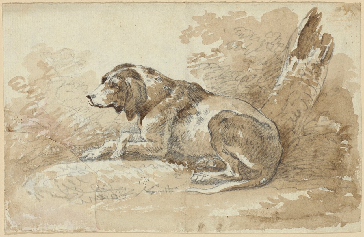 Deux études menées sur des chiens - Johann Georg von Dillis