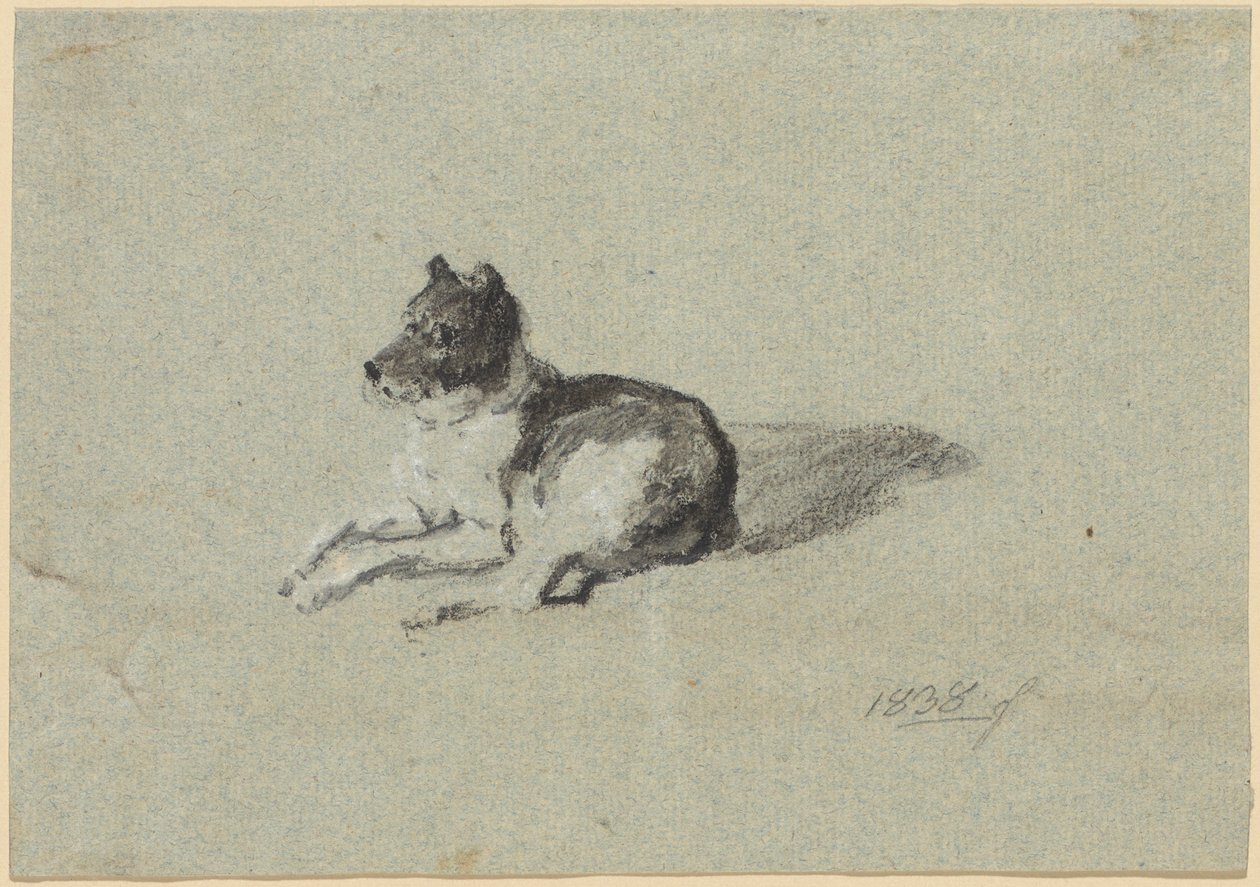 Deux études menées sur des chiens - Johann Georg von Dillis