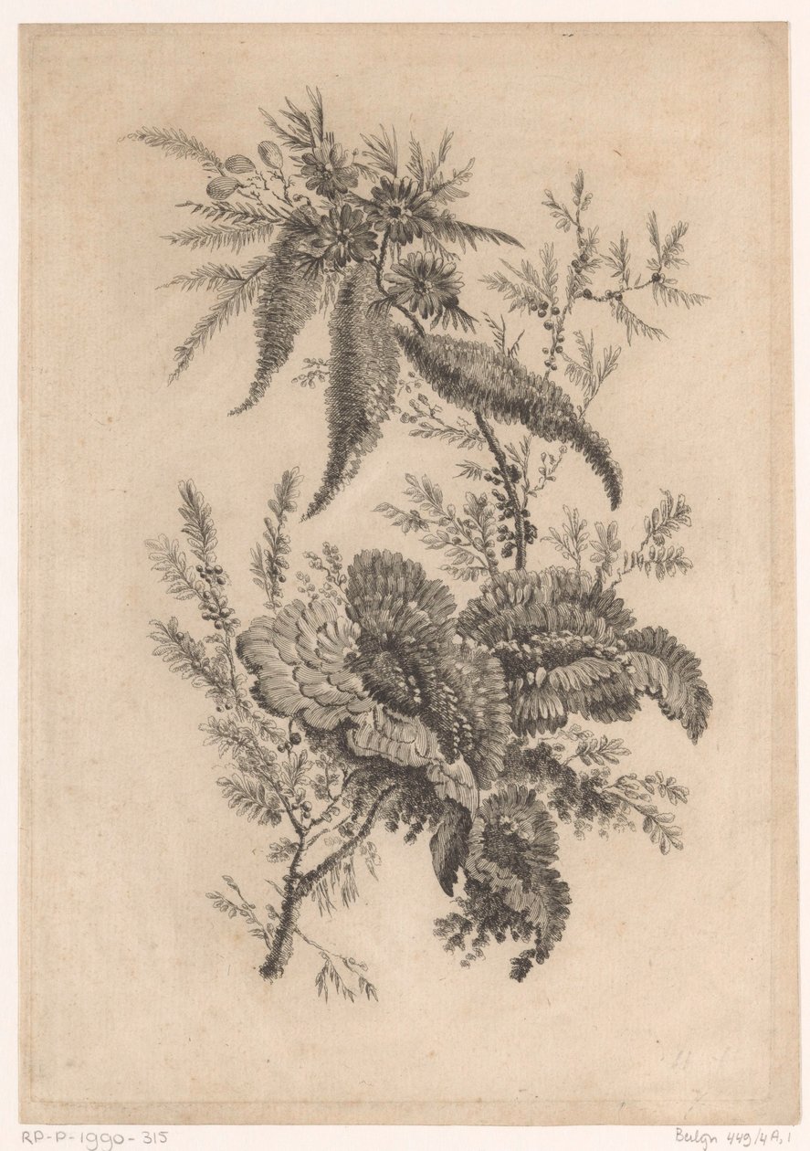 Roses sauvages (Recueil De Nouvelles Fleurs De Goût; Pour la Manufacture des Etoffes de Perse) - Johann Heinrich  Hess