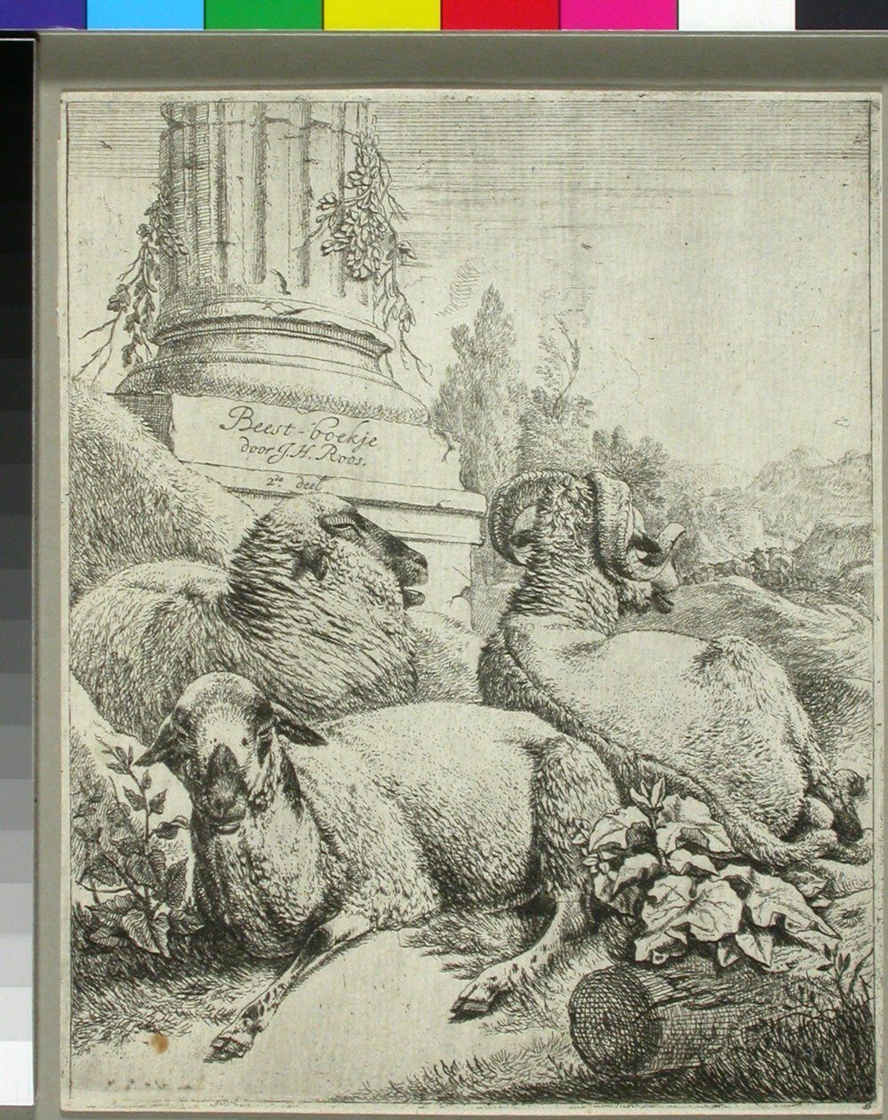 Moutons au pied d