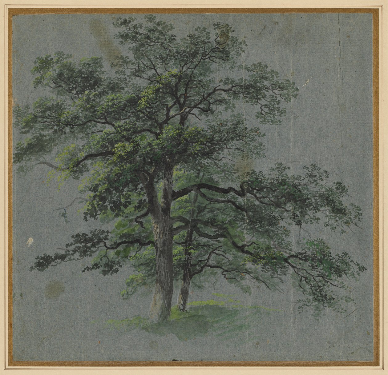 Deux Arbres, première moitié des années 1800 - Johann Jacob Dorner