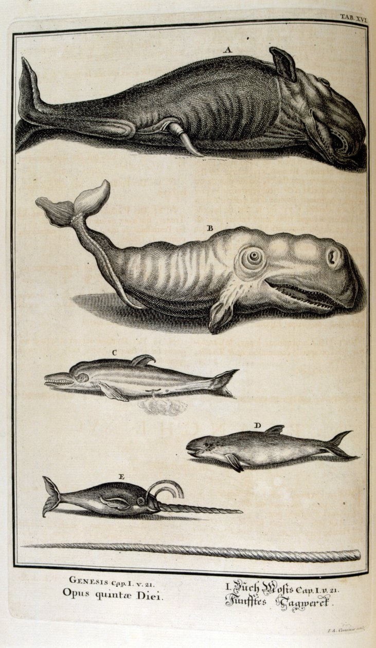 Gravure sur cuivre de 