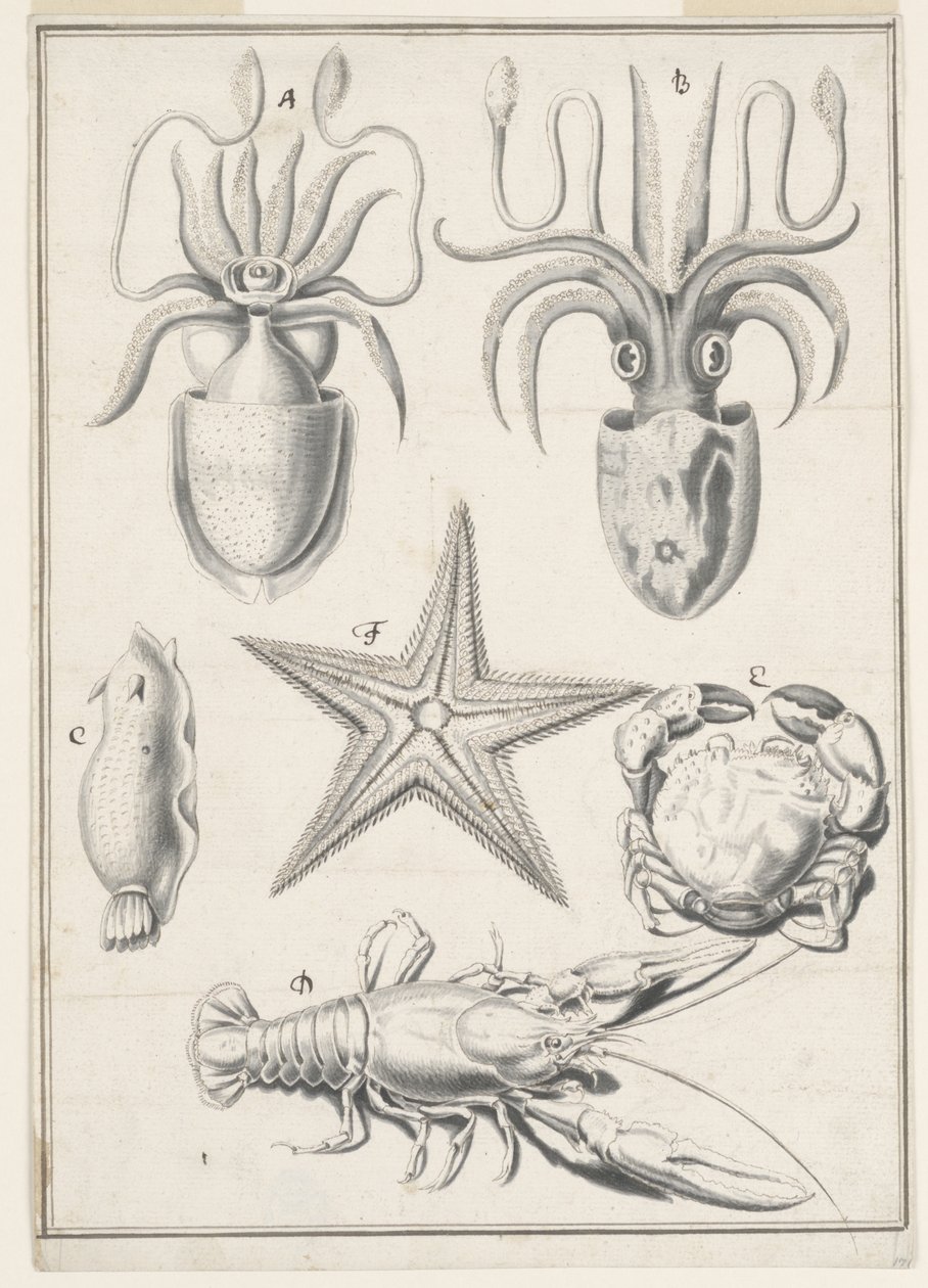 Travail du cinquième jour - Johann Melchior Füssli